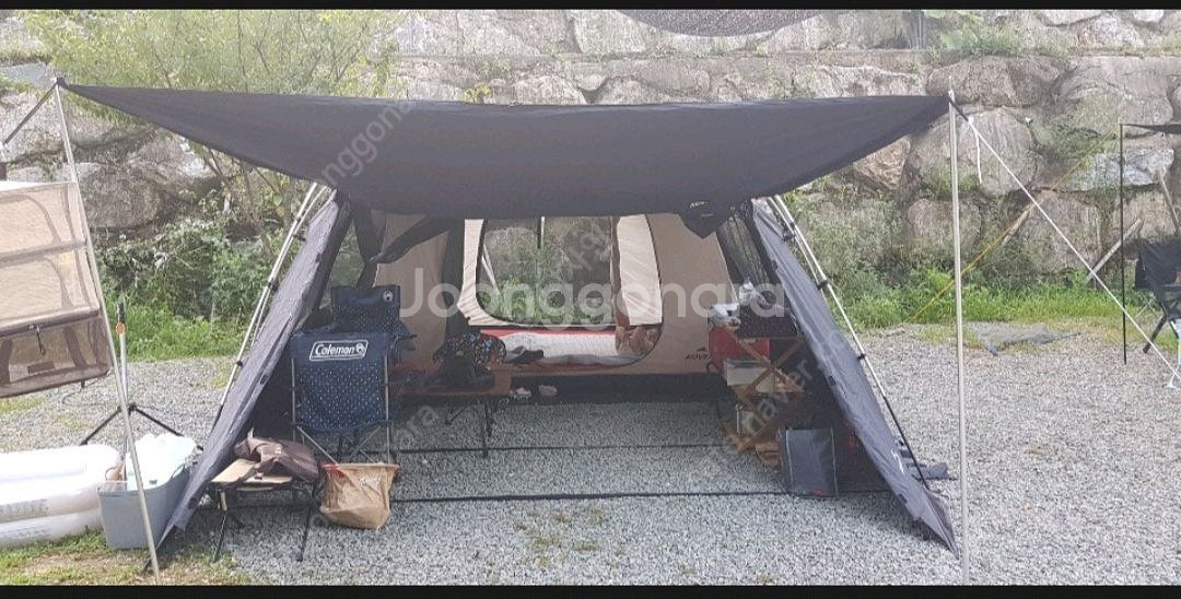 코베아 퀸덤4. 팝니다--1