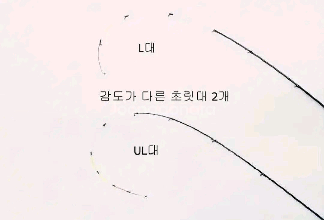 한치.풀치.내만.준내만갈치.볼락.호래기.화살촉오--4