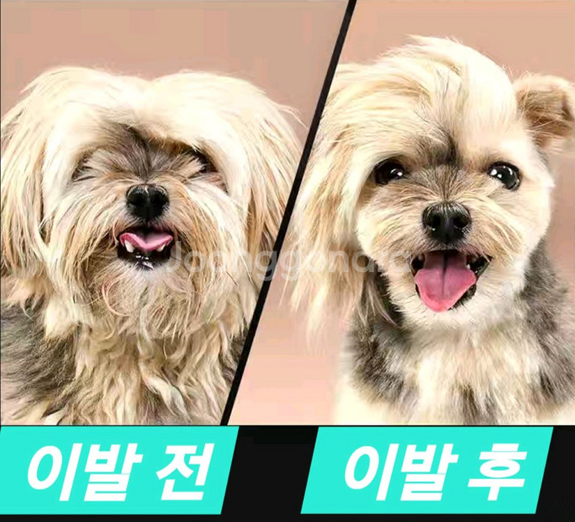 7인치 고급 애견 미용가위3p+구성품 풀세트(새상품)--1