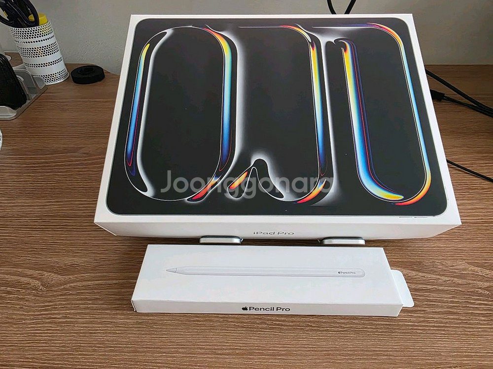 아이패드 프로 M4 13인치 256GB 셀룰러(자급제)--0