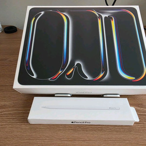 아이패드 프로 M4 13인치 256GB 셀룰러(자급제)