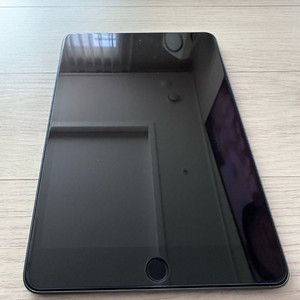 아이패드 미니5 256G (셀룰러, 스페이스 그레이)