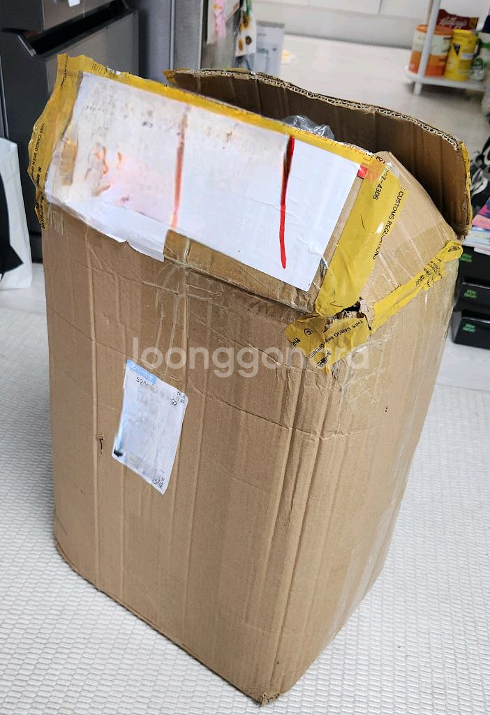 원정용 보드 휠백 판매합니다 (174cm)--3