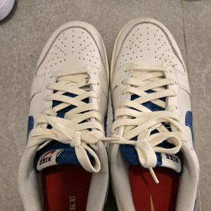 나이키 덩크 마리나블루265