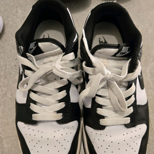 나이키 덩크 범고래