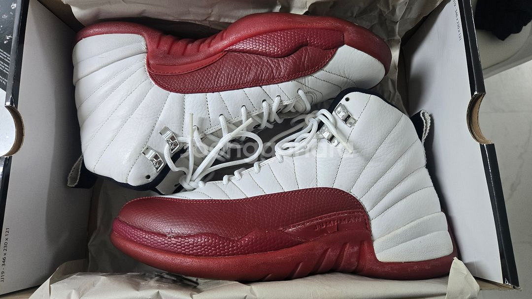 조던12 체리 265--0