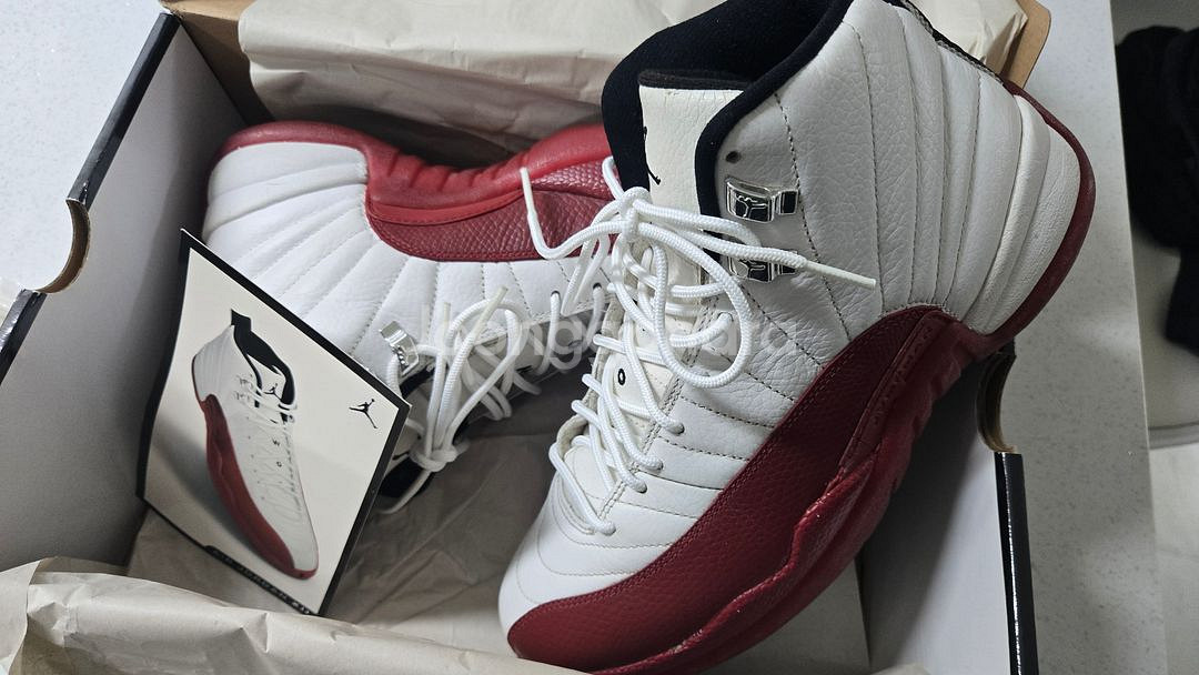 조던12 체리 265--1