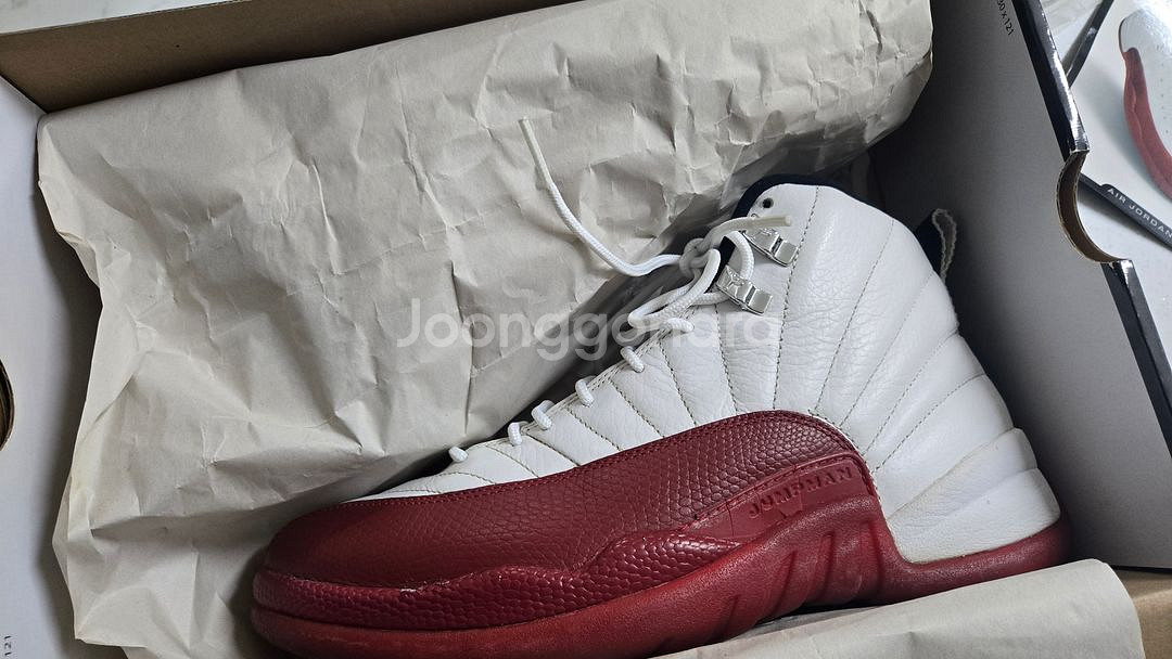 조던12 체리 265--2