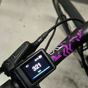 자이언트 전기자전거 fast sr