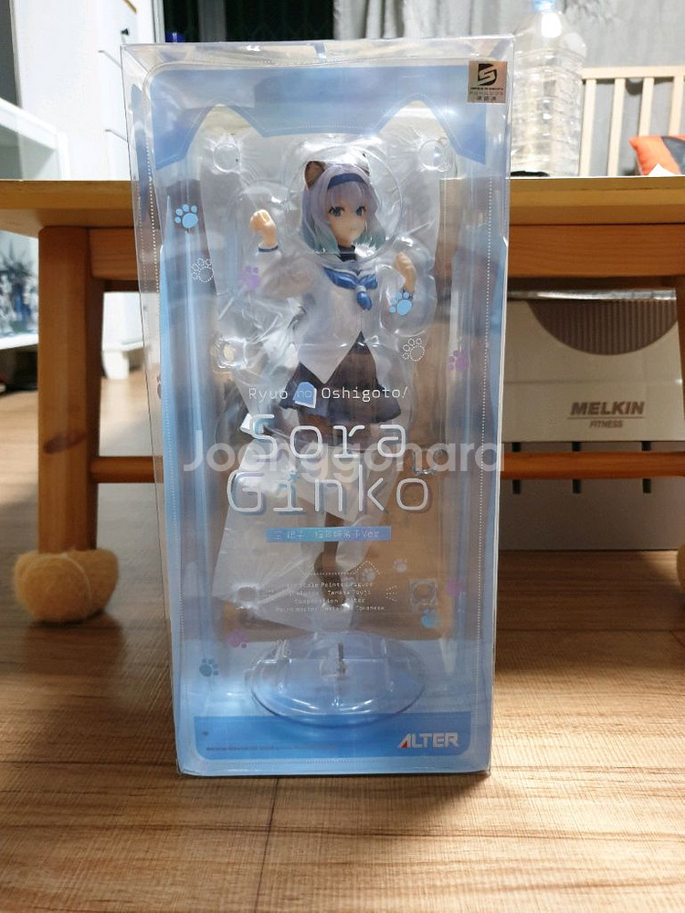 알터 용왕이 하는일 소라 긴코 네코미미 피규어 미소녀--0