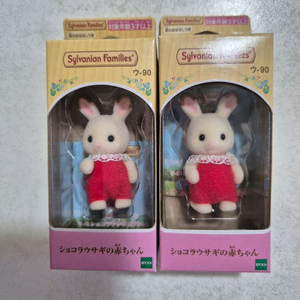 실바니안 직립 아기 초콜릿토끼