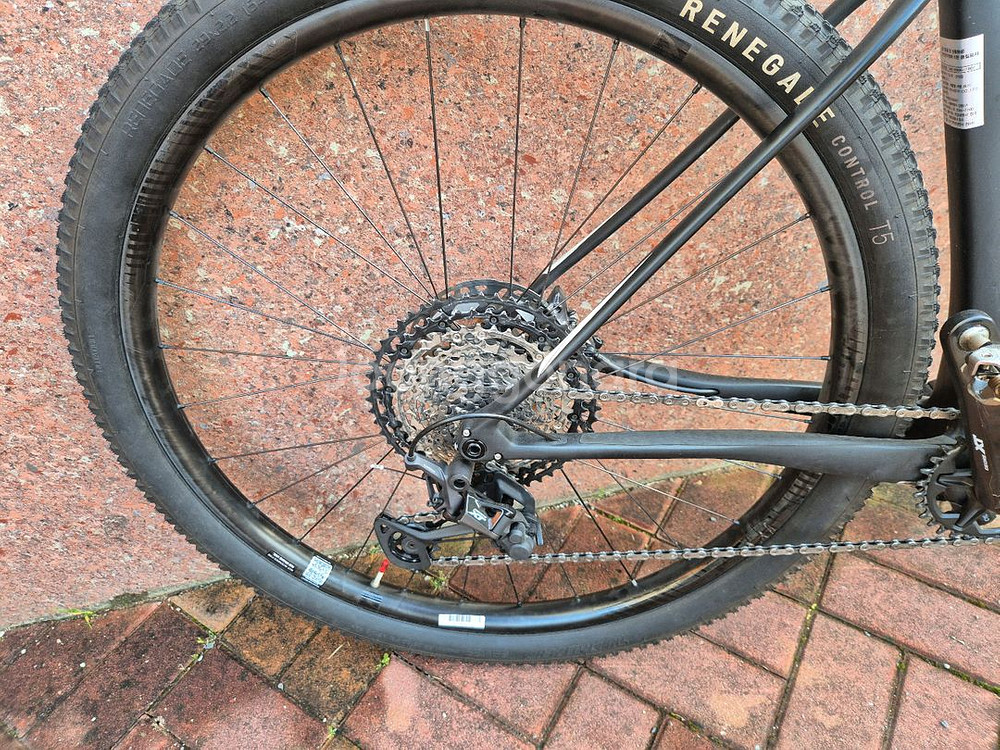 빅나인7000 24년식 사이즈 L 팜매나 대차--5