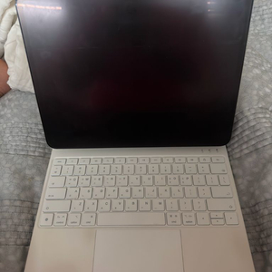 아이패드프로 13 m4 wifi 256