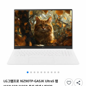LG 그램 Pro AI 16인치 Ultra5 화이트