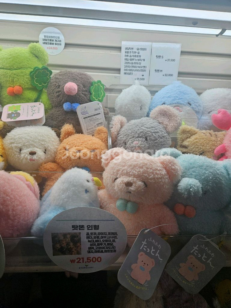 탓똔 자립 곰인형--2