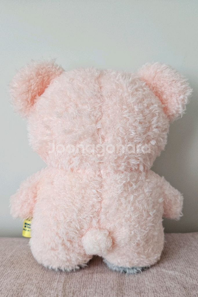 탓똔 자립 곰인형--1