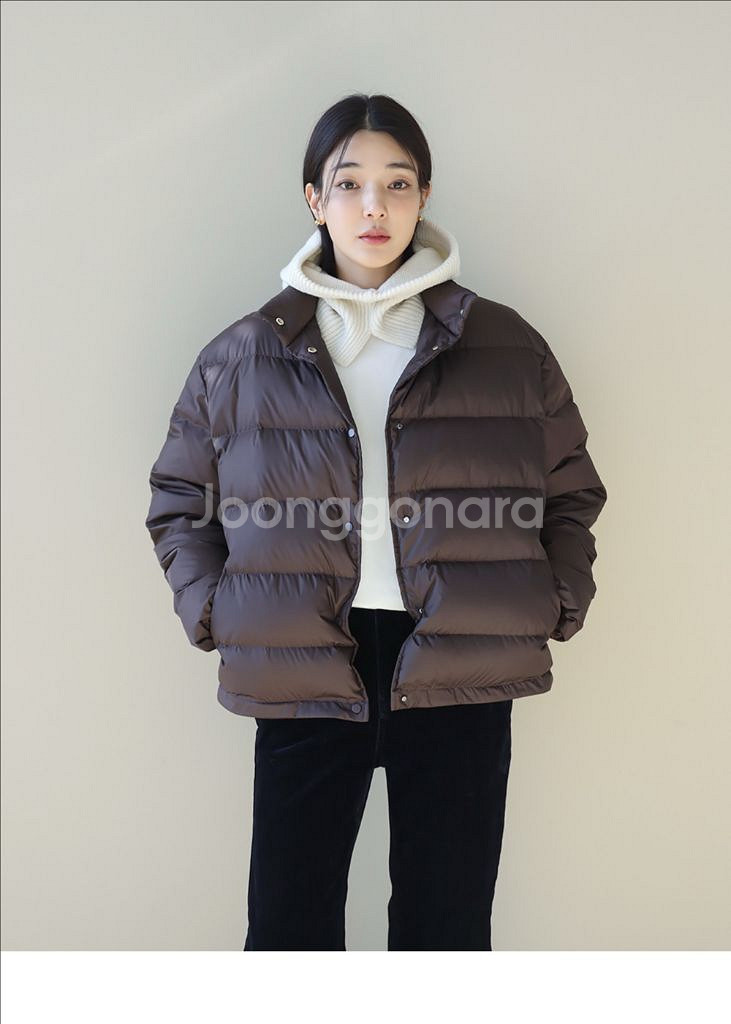 디그 브라운 구스 디운 숏패딩--1
