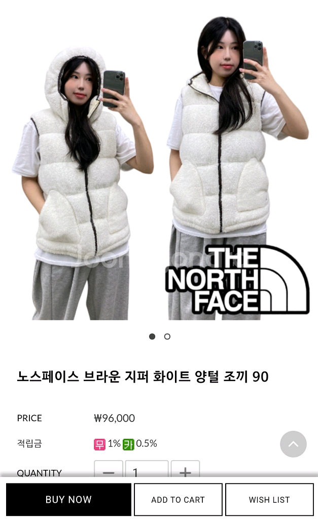 노스페이스 뽀글이 구스 조끼--9