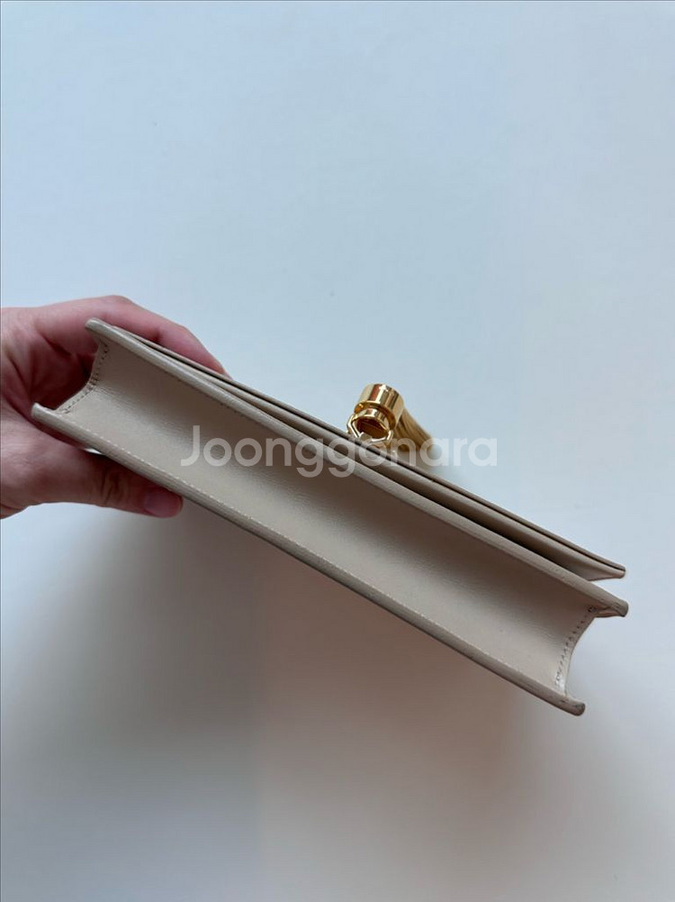 생로랑 케이트 테슬월렛 베이지--5