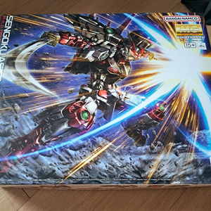 MG 전국 아스트레이 건담