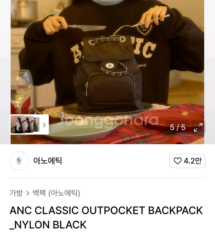 아노에틱 나일론 체인백팩/ 실버백팩--2