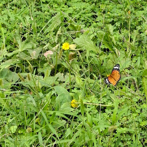 스타벅스 19,900, 1만권 팝니다.