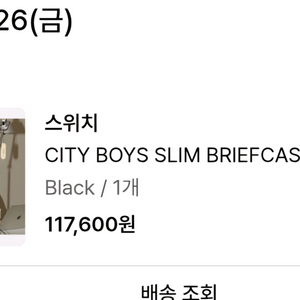 스위치 시티보이즈 슬림 브리프 케이스 001