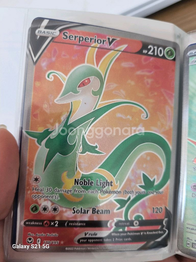 포켓몬카드 영판--4