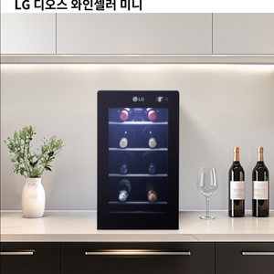LG 디오스 미니 와인셀러 W087B