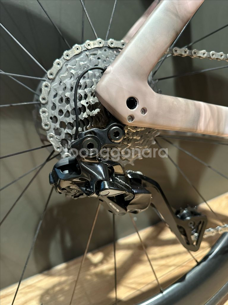 트렉 마돈 SLR 9 한정판 7세대 54사이즈--7