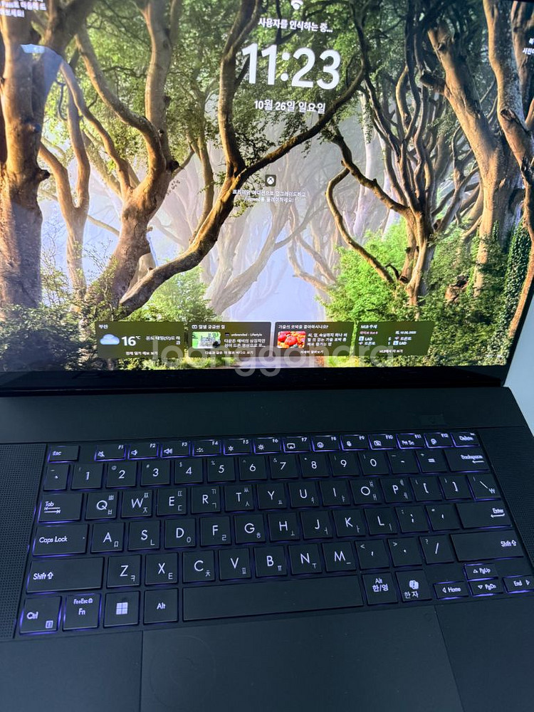 ASUS PROART P16 H7606WI--9