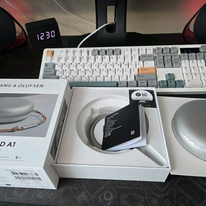 뱅앤올룹슨 Beosound A1 2세대 실버