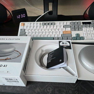 뱅앤올룹슨 Beosound A1 2세대 실버