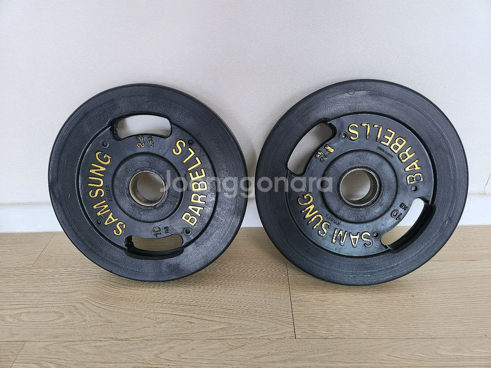중량 원판 10kg 2개 (홈짐 홈트 바벨)--0