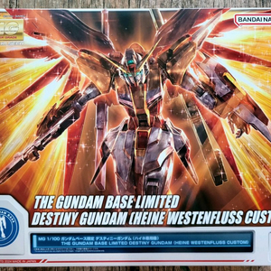 MG 데스티니 건담 [하이네 전용기]