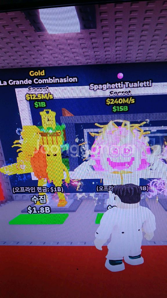 브레인로트 골드라그란데,스파게티 3.5판매--0