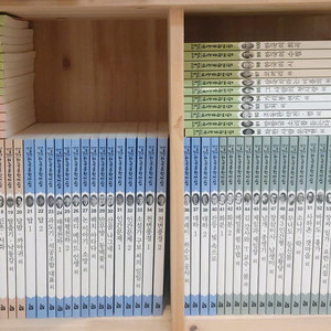 한국헤르만헤세)서울대선정 한국문학전집100권
