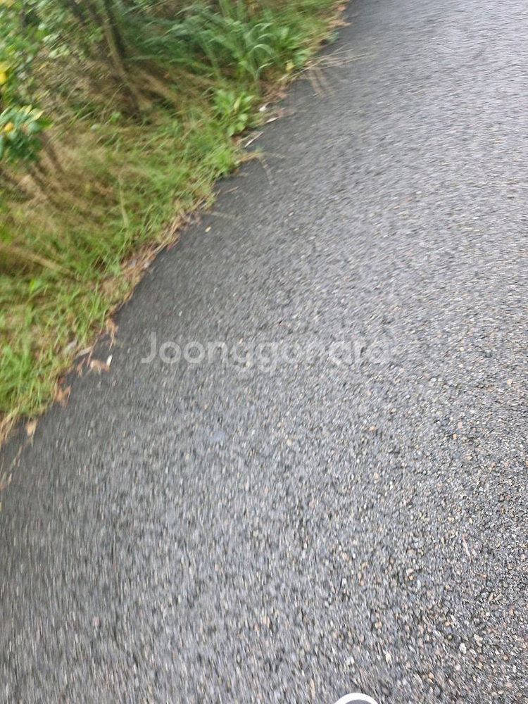 유튜브 채널 국내채널로 구매합니다.--0