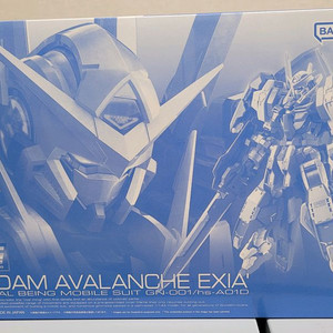 반다이 건담 RG 건담 아발란체,페넥스,사자비,윙건담,