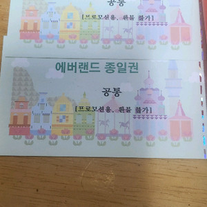 에버랜드자유이용권 2매(qr코드전송)