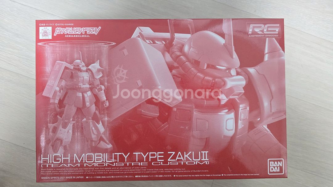 반다이 RG 고기동형 자쿠 팀 몬스톨 커스텀--0