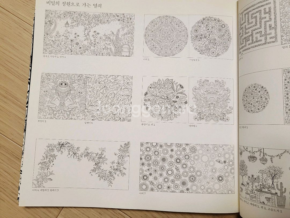 비밀의 정원 컬러링북 12000원--1