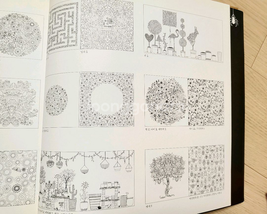 비밀의 정원 컬러링북 12000원--2
