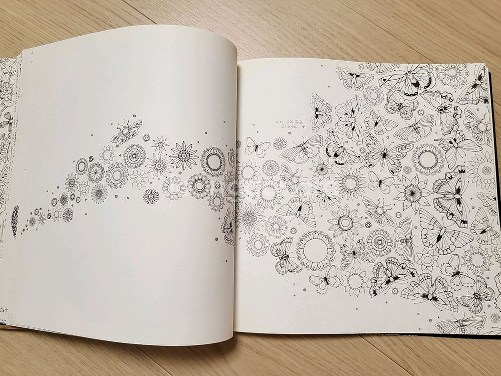 비밀의 정원 컬러링북 12000원--6