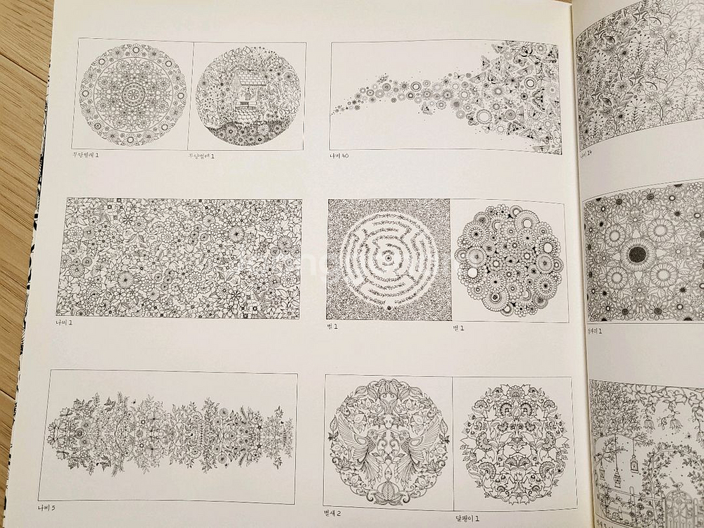 비밀의 정원 컬러링북 12000원--3