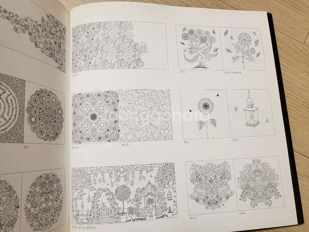 비밀의 정원 컬러링북 12000원--4