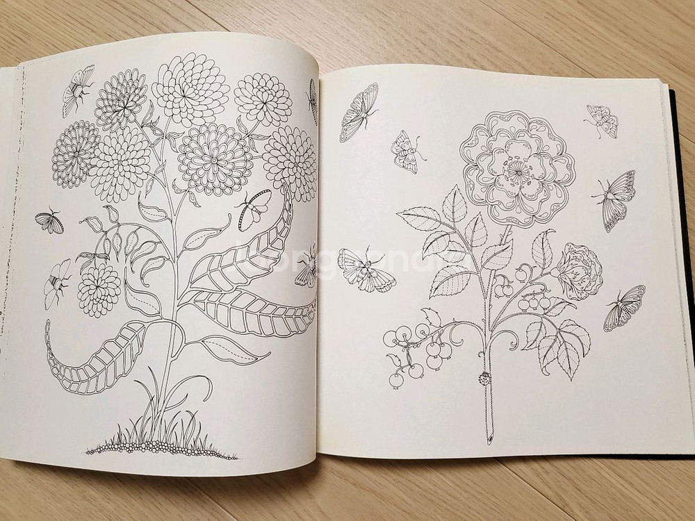 비밀의 정원 컬러링북 12000원--7