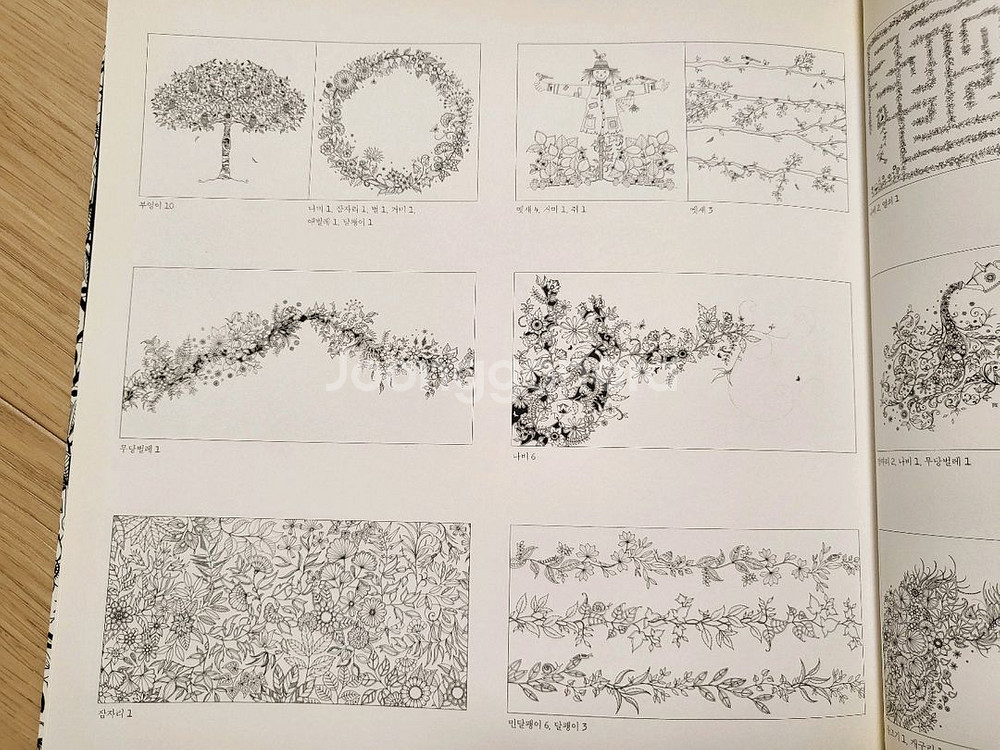 비밀의 정원 컬러링북 12000원--5