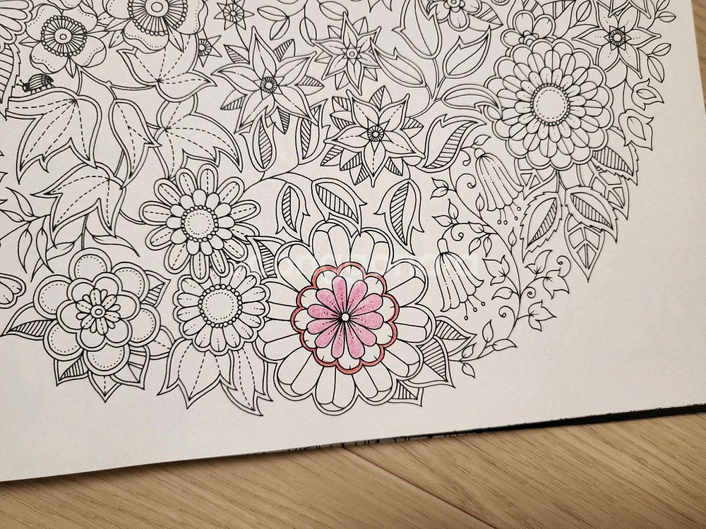 비밀의 정원 컬러링북 12000원--9