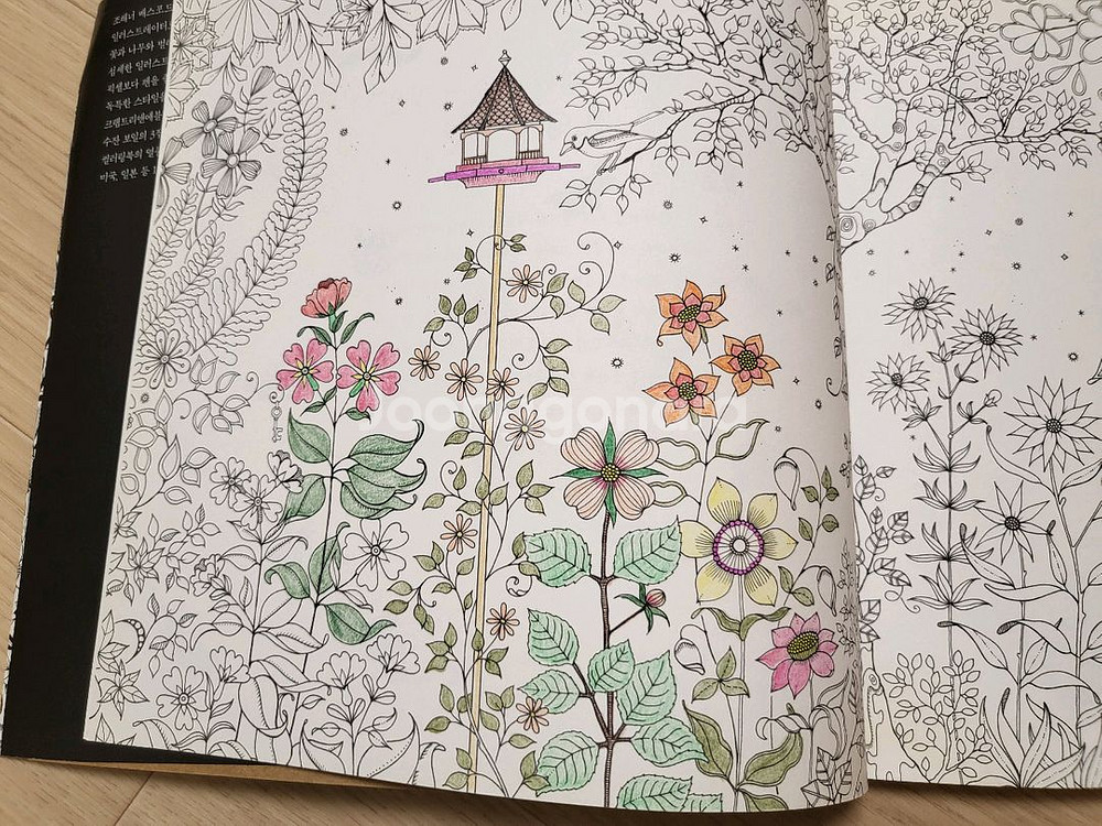 비밀의 정원 컬러링북 12000원--8